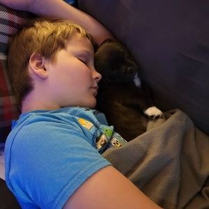 Meet your Posher, Susan